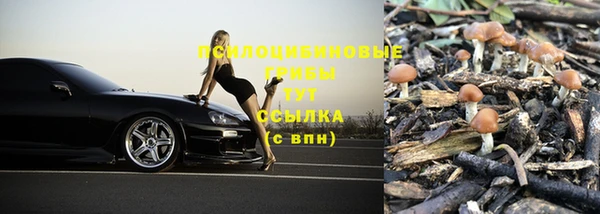 spice Белоозёрский