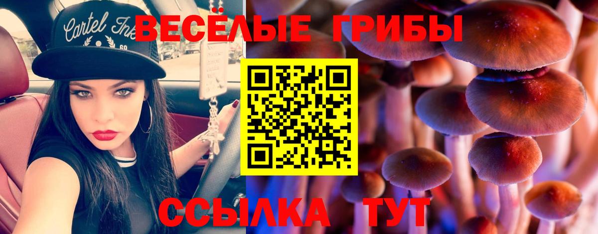 Бутурлиновка  где продают   Вход с VPN  Галлюциногенные грибы GOLDEN TEACHER 